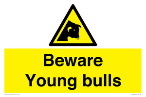 Beware Young bulls